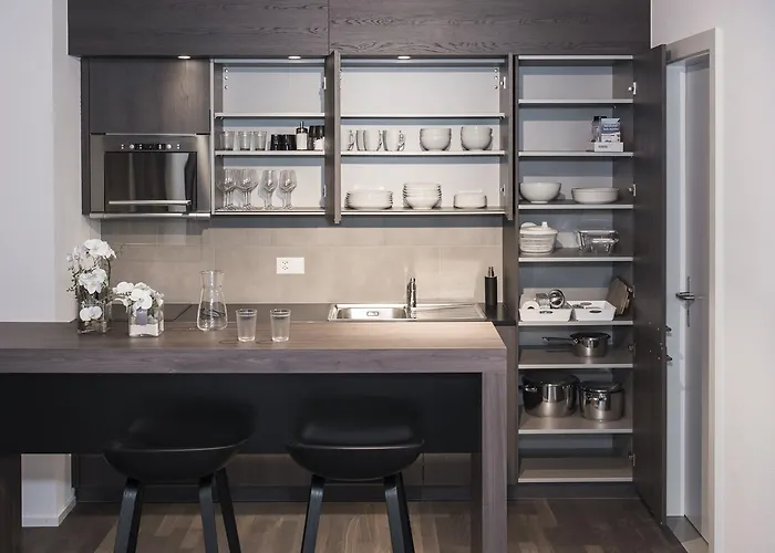 Résidence Hôtelière La Paudèze * Losanna